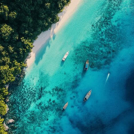 Apprendre le kitesurf : Guide complet pour choisir la plage parfaite selon votre niveau